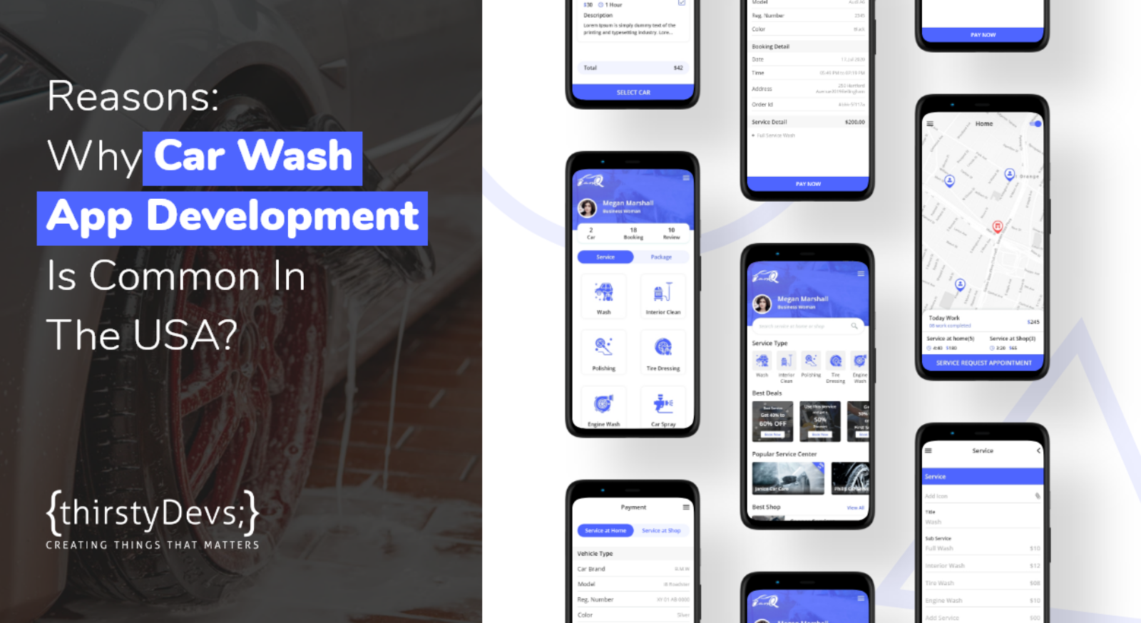 Most common Reasons for Car Wash App Development used in USA